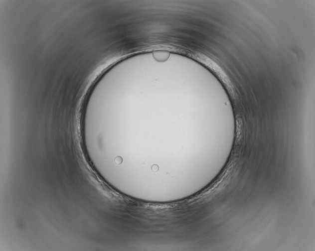 X0000111681043200908141446