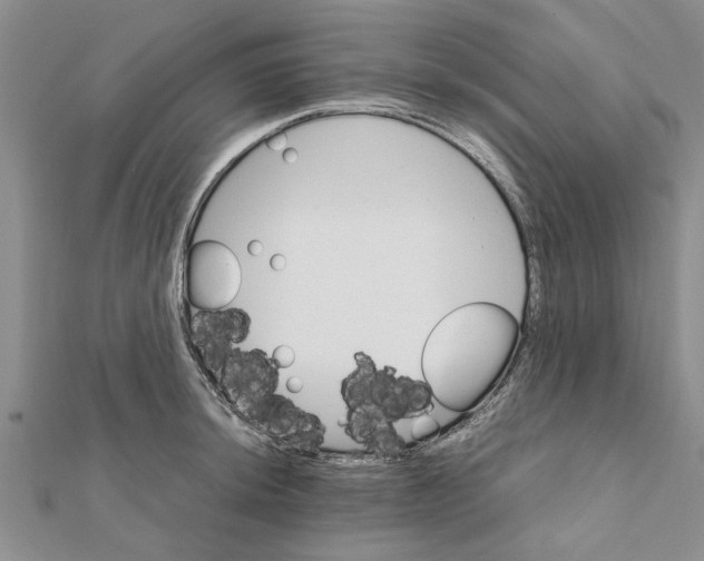 X0000111681044200908141446