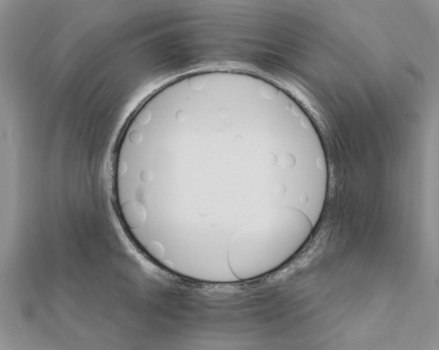 X0000111681046200908141446