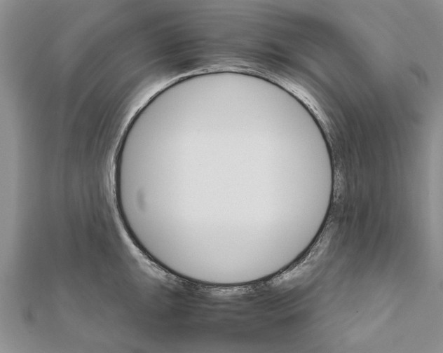 X0000111681047200908141446