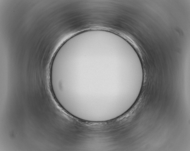 X0000111681048200908141446