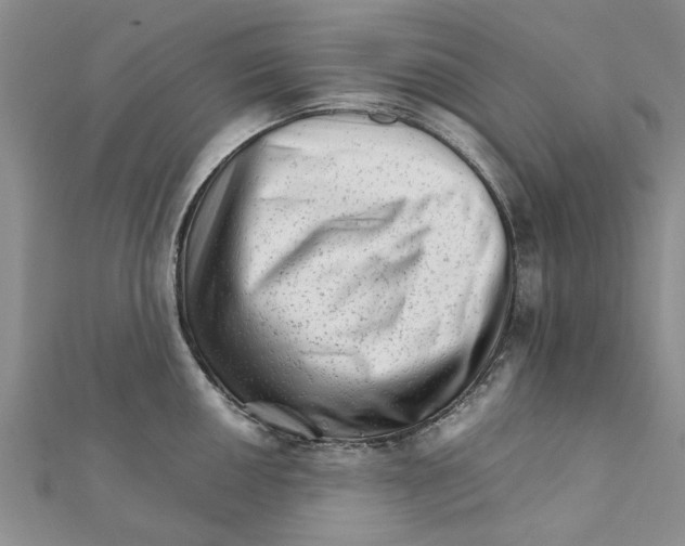 X0000111681050200908141446