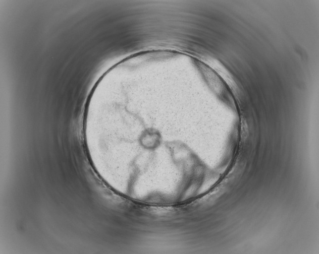 X0000111681052200908141446