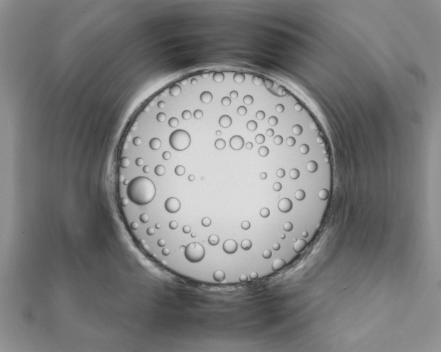 X0000111681053200908141446