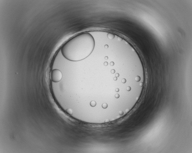 X0000111681054200908141446