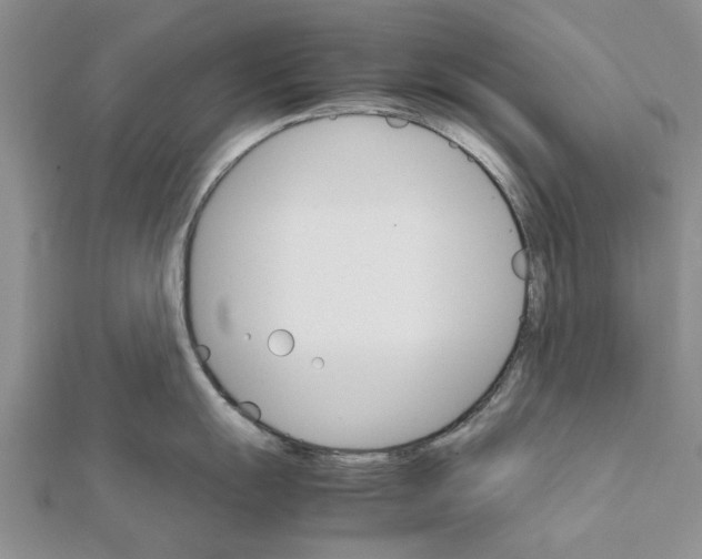 X0000111681055200908141446