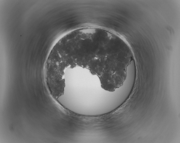 X0000111681056200908141446