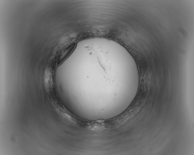 X0000111681058200908141445