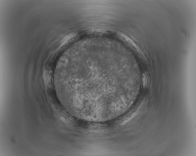 X0000111681059200908141445