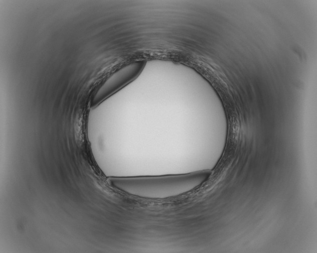 X0000111681060200908141445