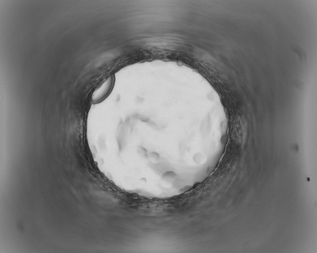 X0000111681061200908141445