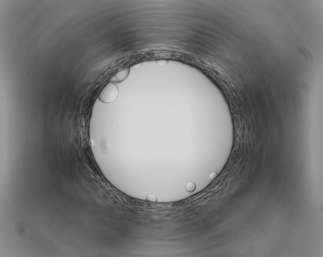 X0000111681062200908141445