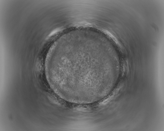 X0000111681063200908141445