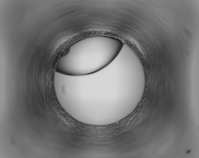 X0000111681064200908141445