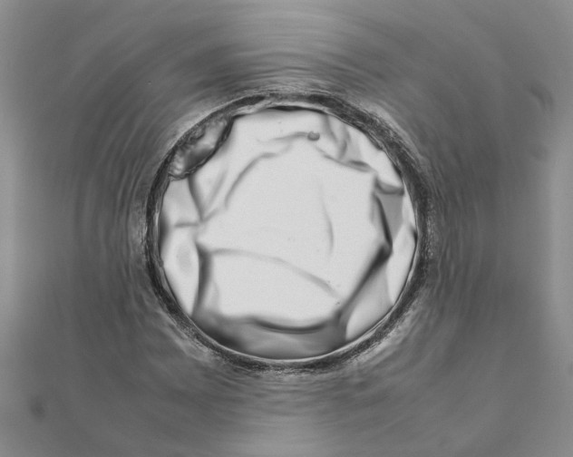 X0000111681065200908141445