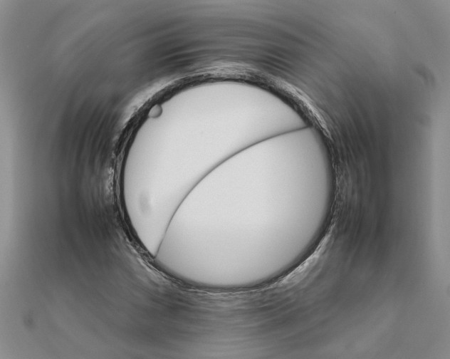 X0000111681066200908141445