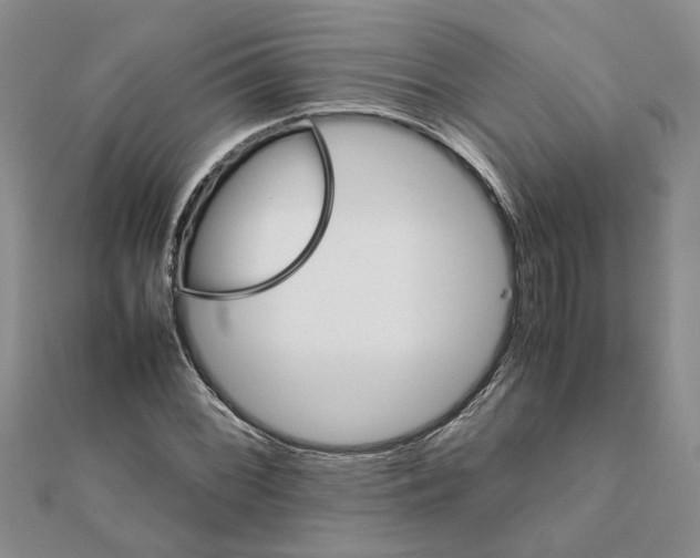 X0000111681068200908141445