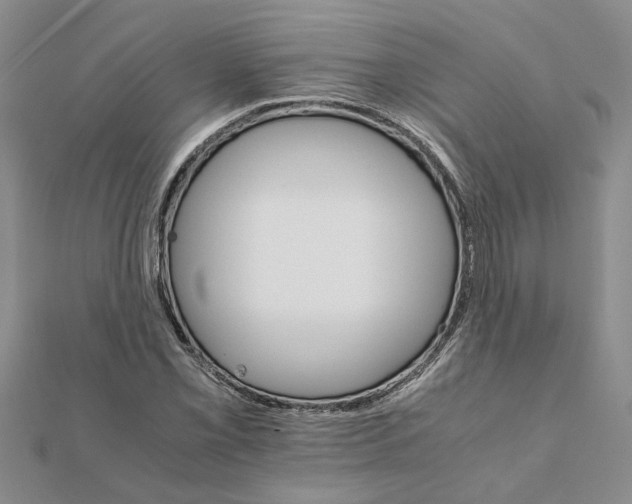 X0000111681069200908141445