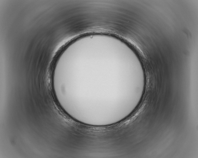 X0000111681070200908141445