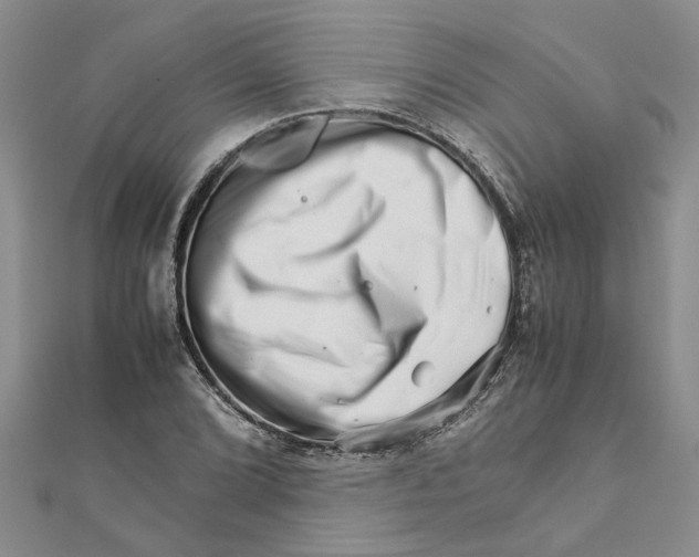 X0000111681072200908141445