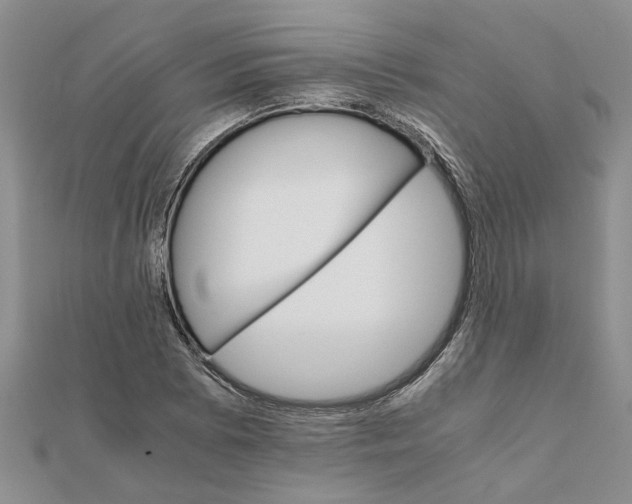 X0000111681073200908141445