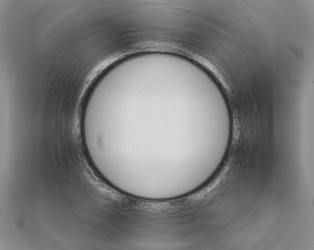 X0000111681074200908141445