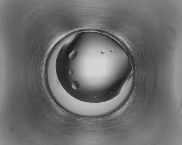 X0000111681077200908141445