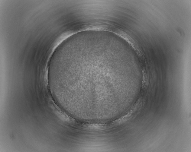 X0000111681078200908141445