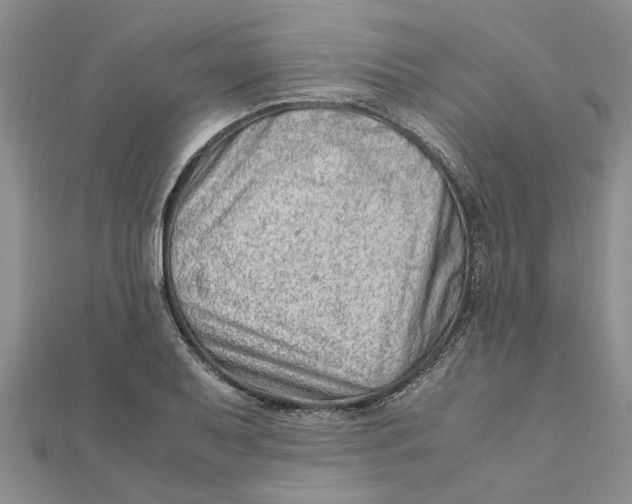 X0000111681079200908141445