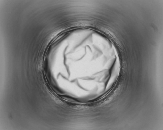 X0000111681081200908141445