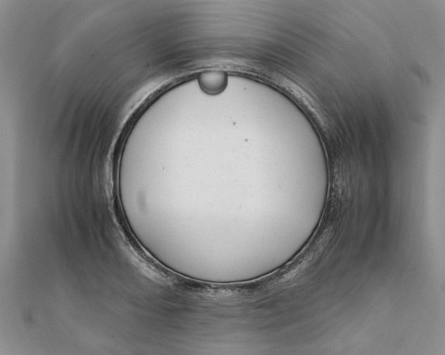 X0000111681082200908141445