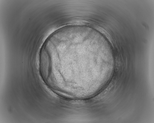 X0000111681083200908141445