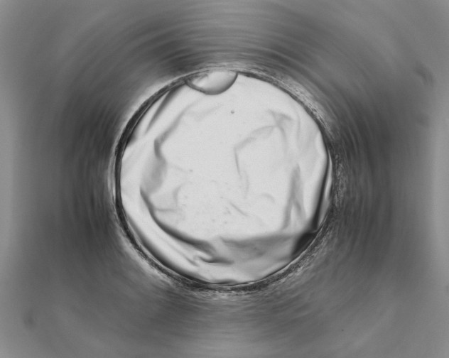 X0000111681084200908141445