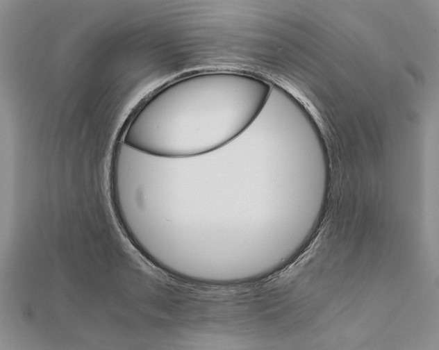 X0000111681085200908141445