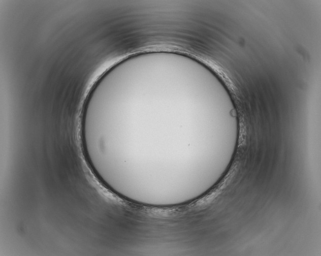 X0000111681086200908141445