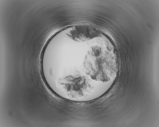 X0000111681087200908141445