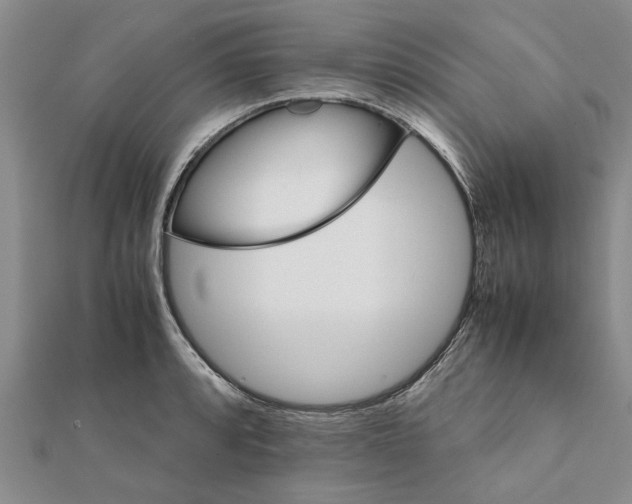 X0000111681088200908141445