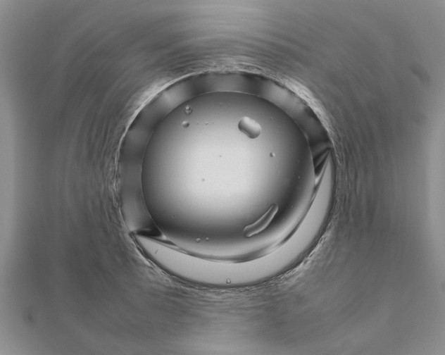 X0000111681089200908141445