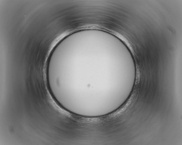 X0000111681090200908141445