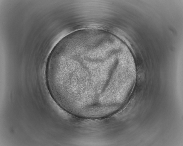 X0000111681091200908141445