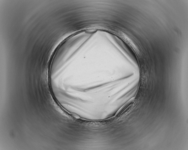 X0000111681092200908141445