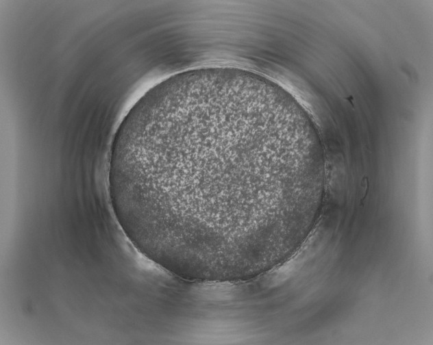 X0000111681094200908141445