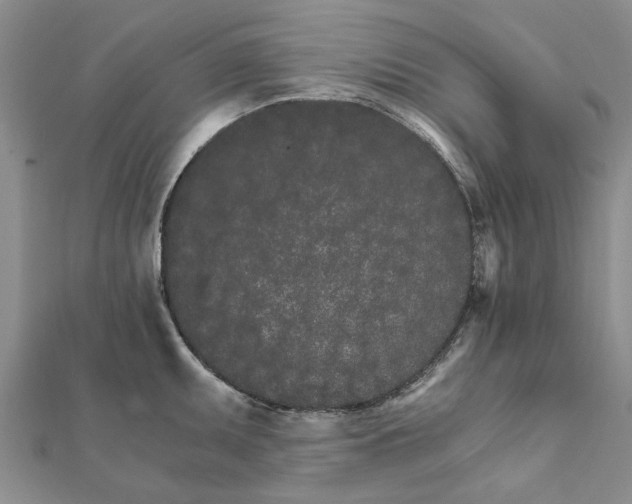 X0000111681095200908141445