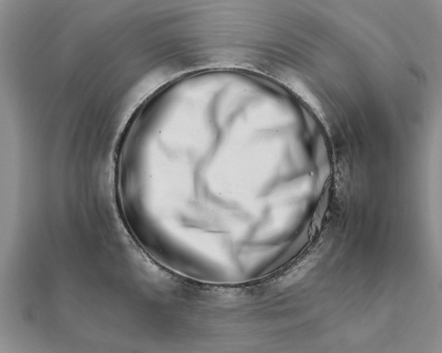 X0000111681096200908141445