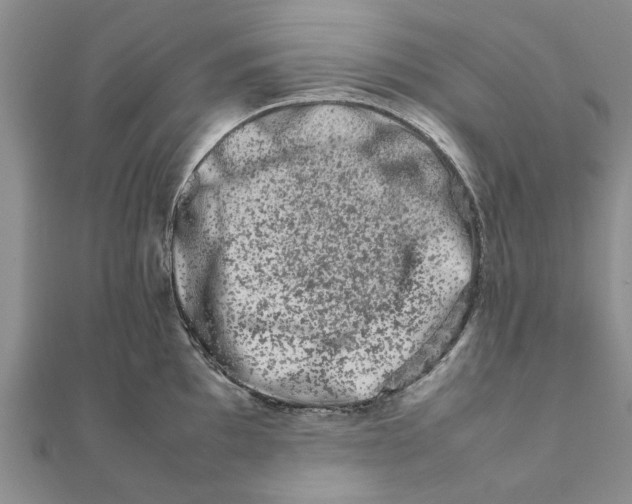 X0000111681097200908141445