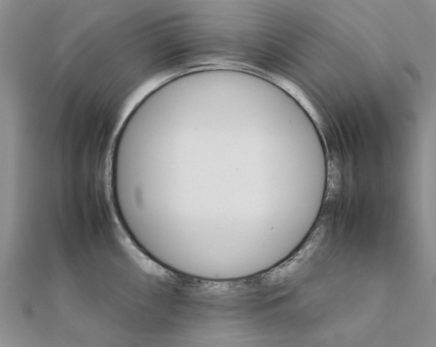 X0000111681098200908141445