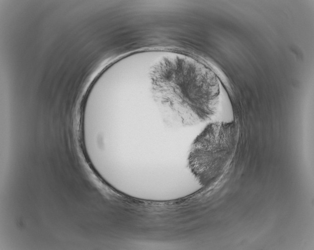 X0000111681099200908141445