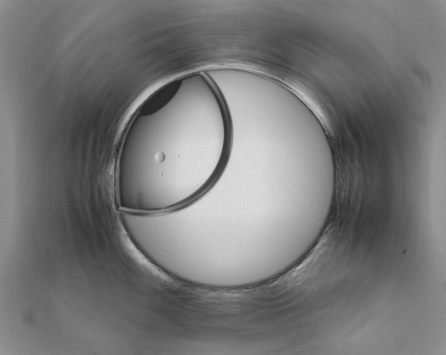 X0000111681100200908141445