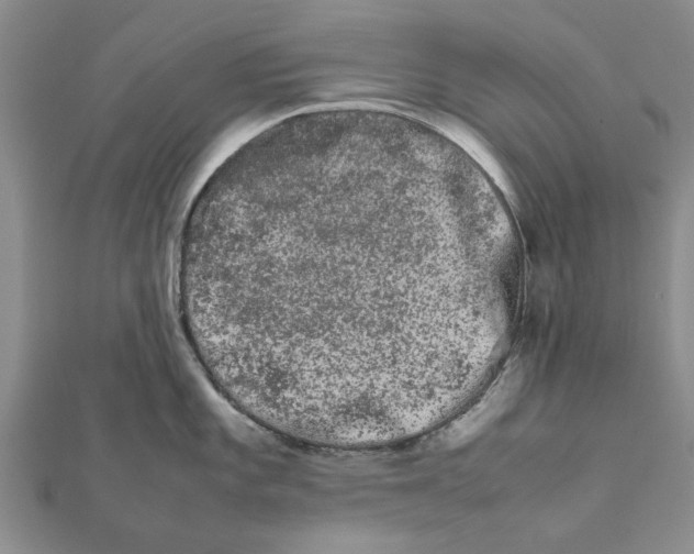 X0000111681101200908141445