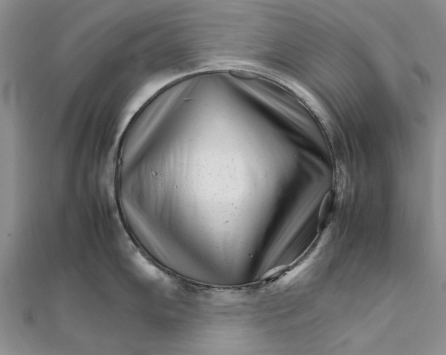 X0000111681102200908141445